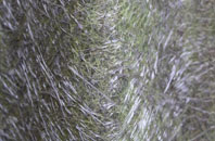 Swanbister fibreglass roof work